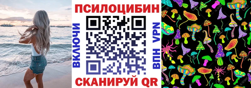 Псилоцибиновые грибы Cubensis  закладки  Ряжск 